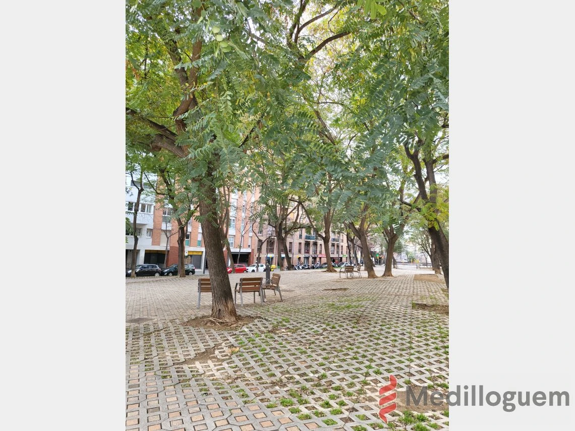 22 Alrededor - Mare de Deu de la Salut