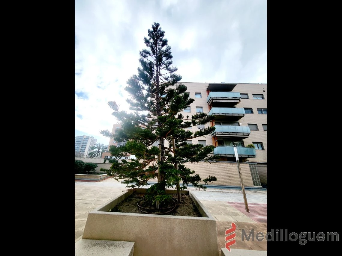 22 Zonas Comunes - Tresmall