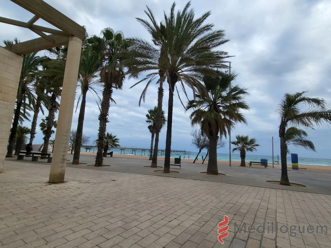 23 Alrededores - Tresmall