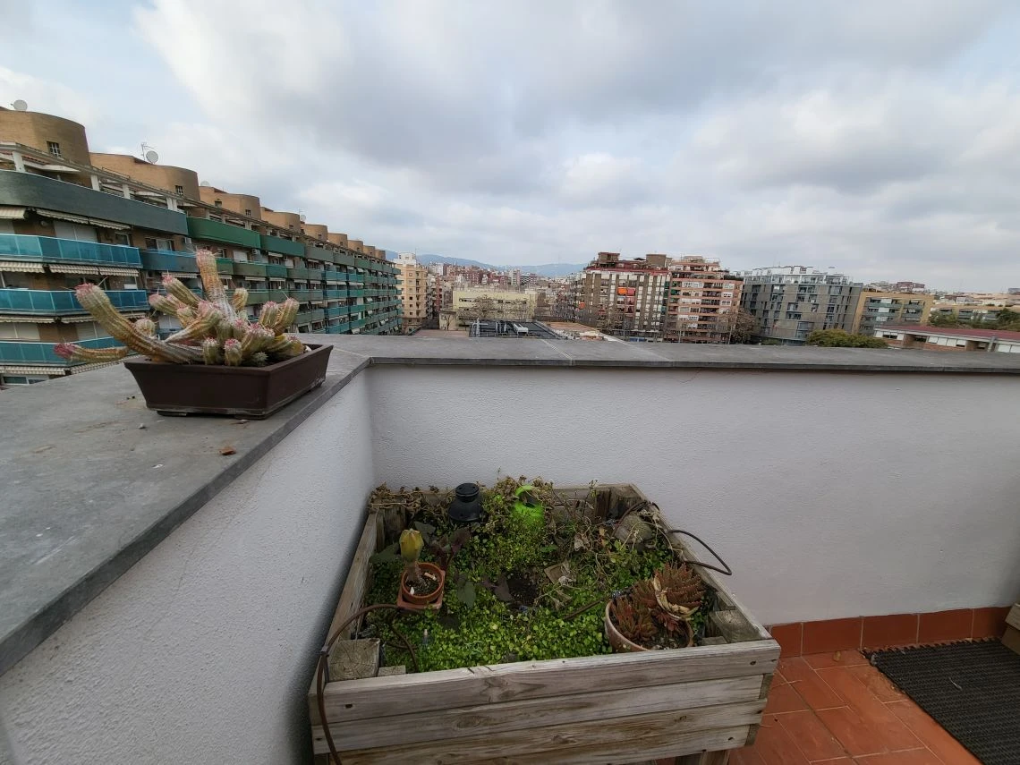 28 Bacardi - Terrassa