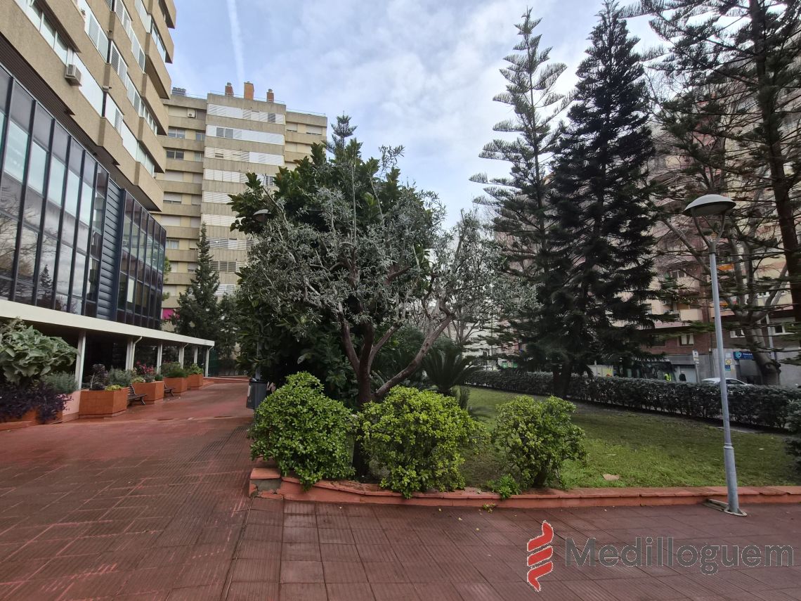 27 Alrededores - Corts