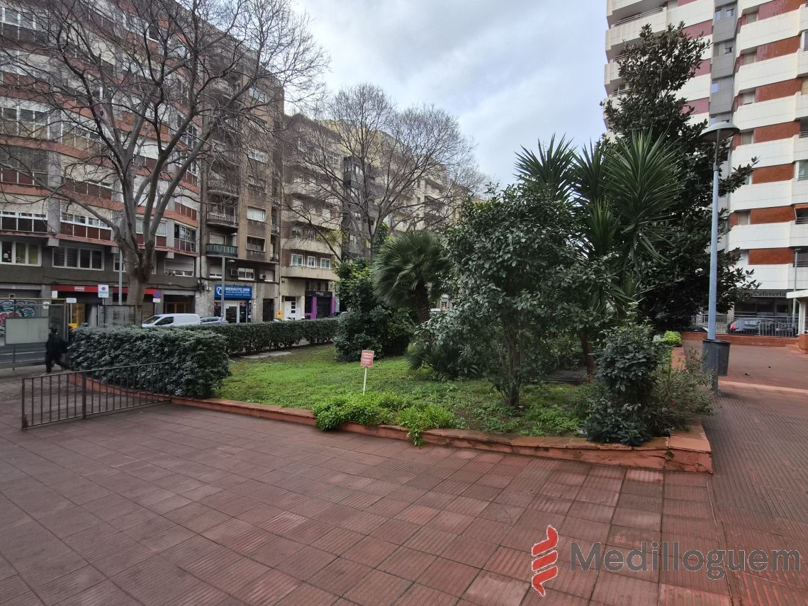 28 Alrededores - Corts