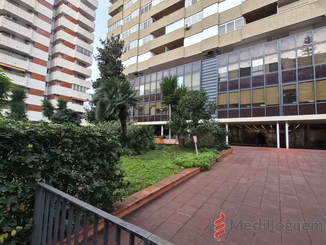 29 Alrededores - Corts
