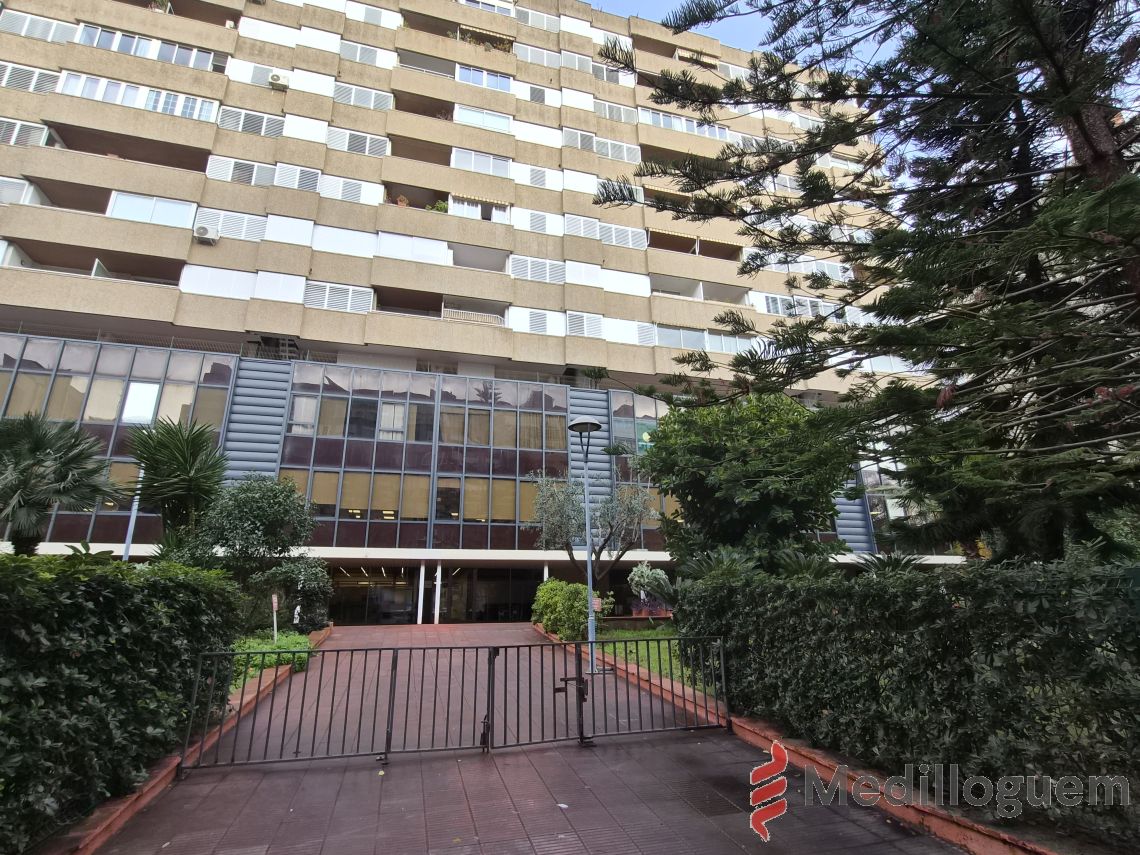 31 Alrededores - Corts