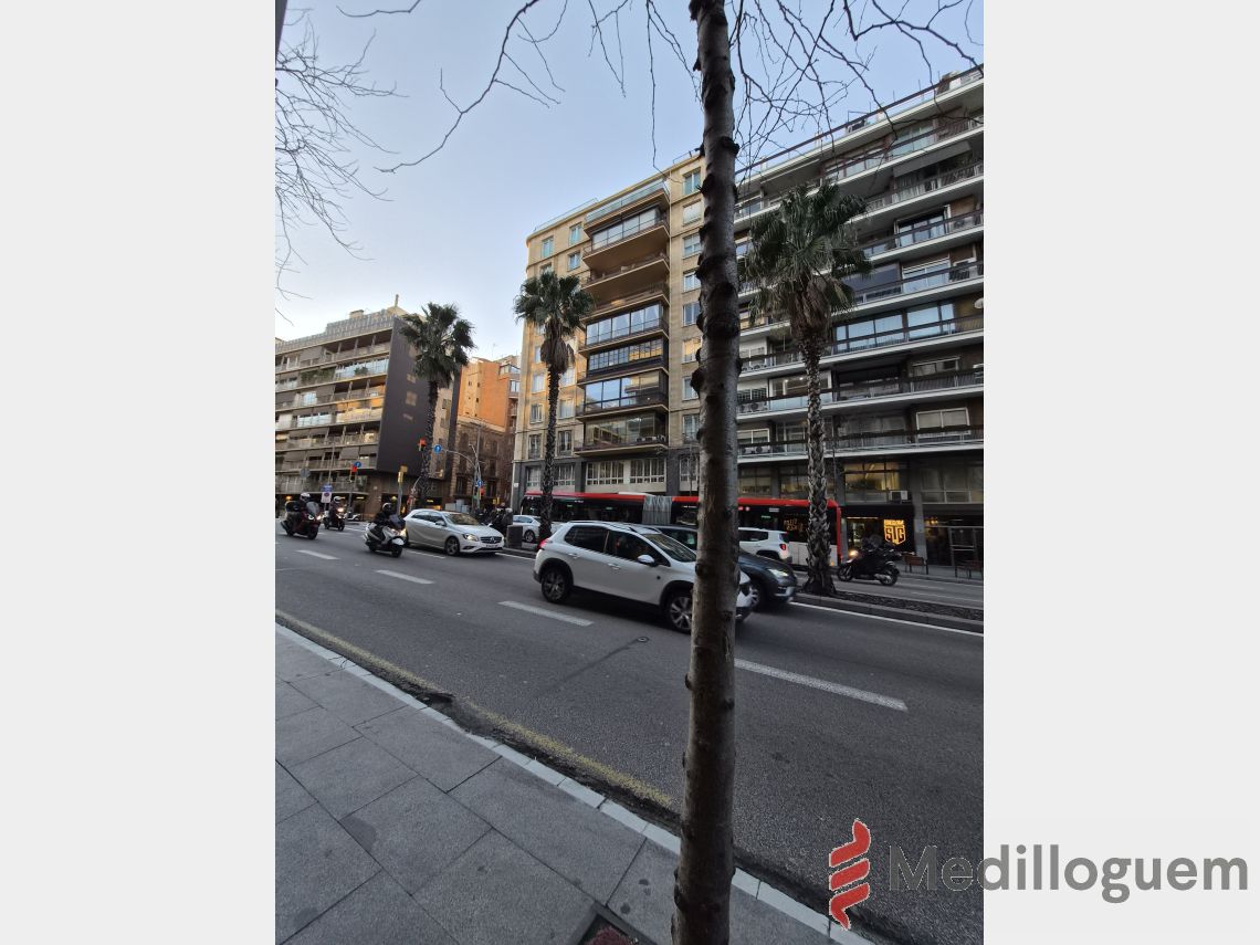 29 Alrededores - Mitre