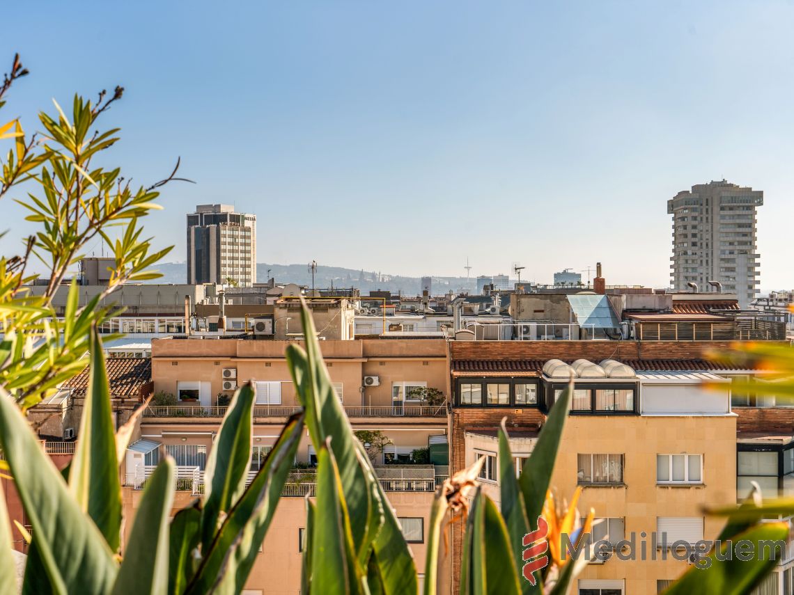 5 Vistas - P Cabrero