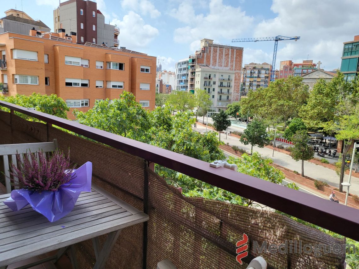 terraza