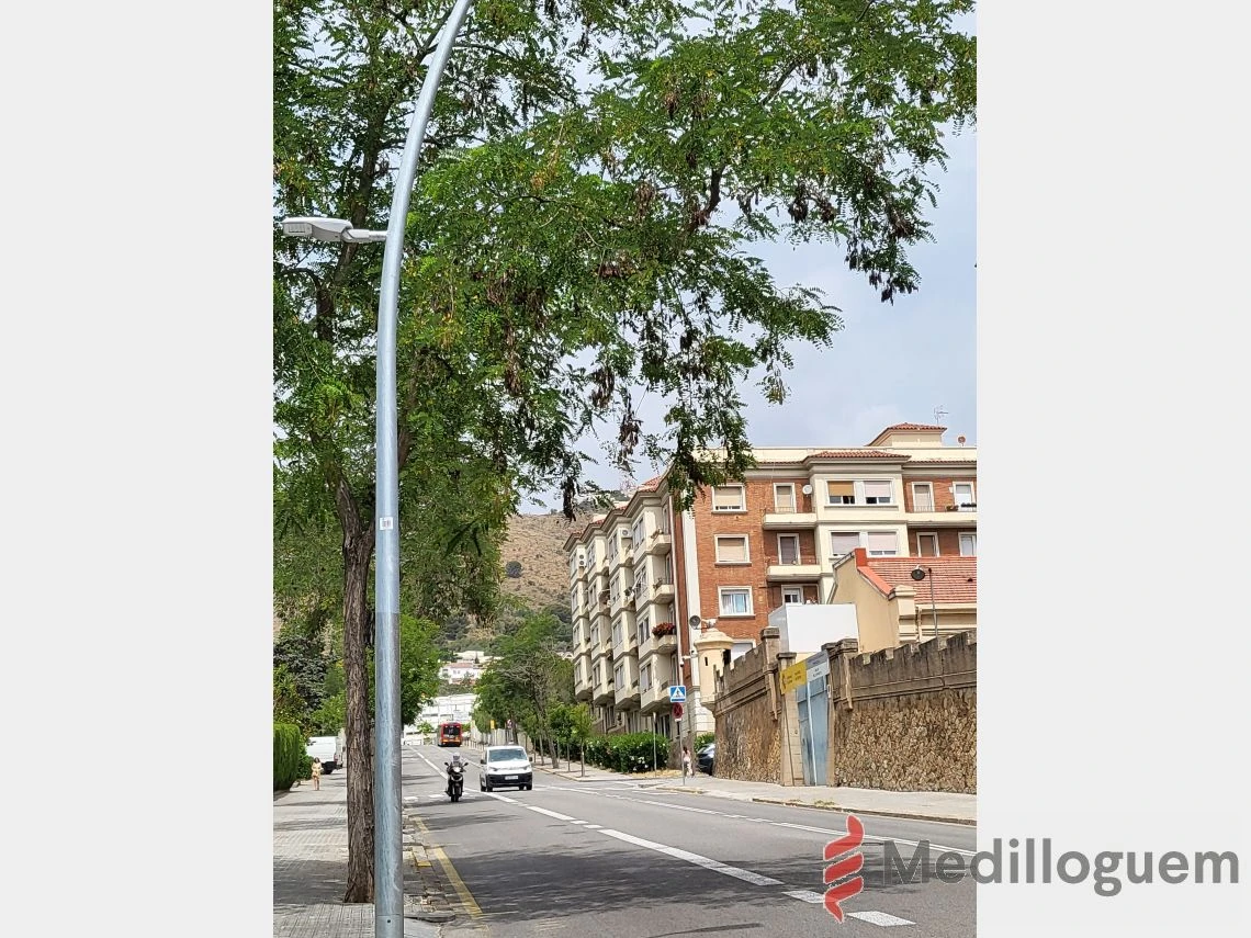 28_cavaller_alrededores