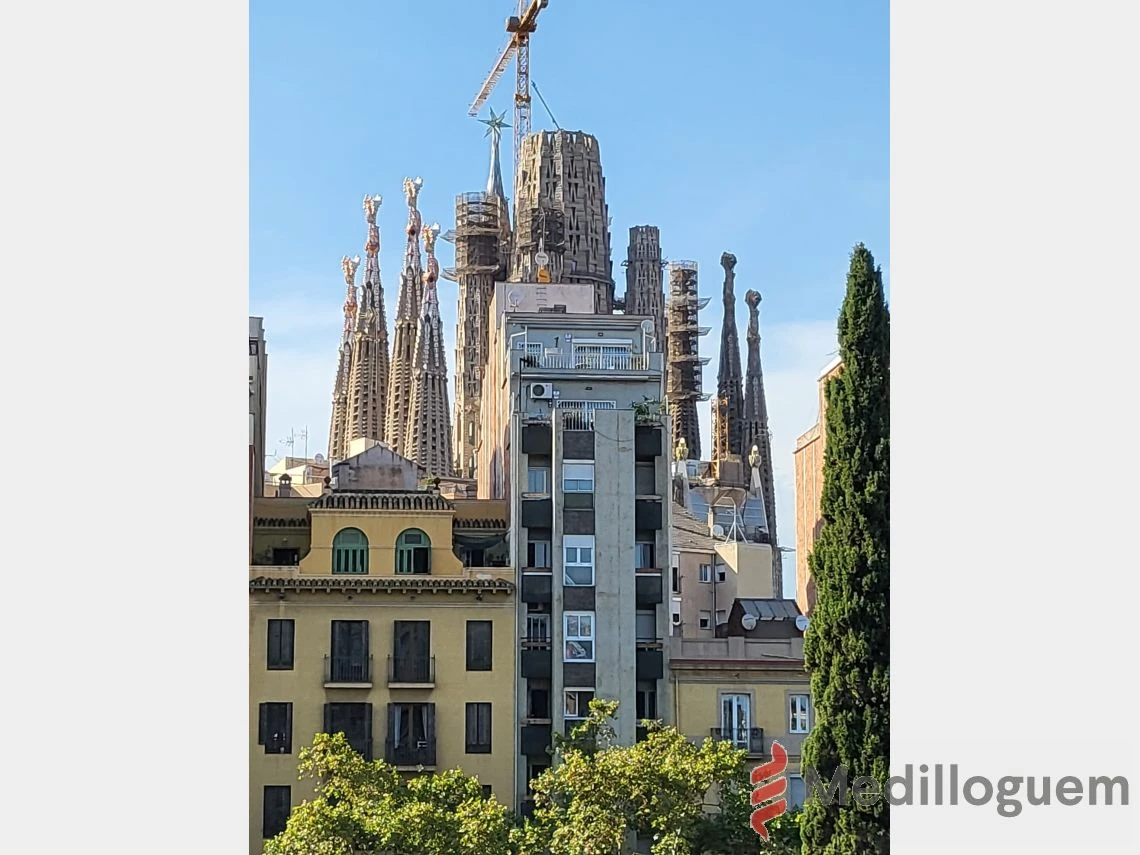 5 vistas arago