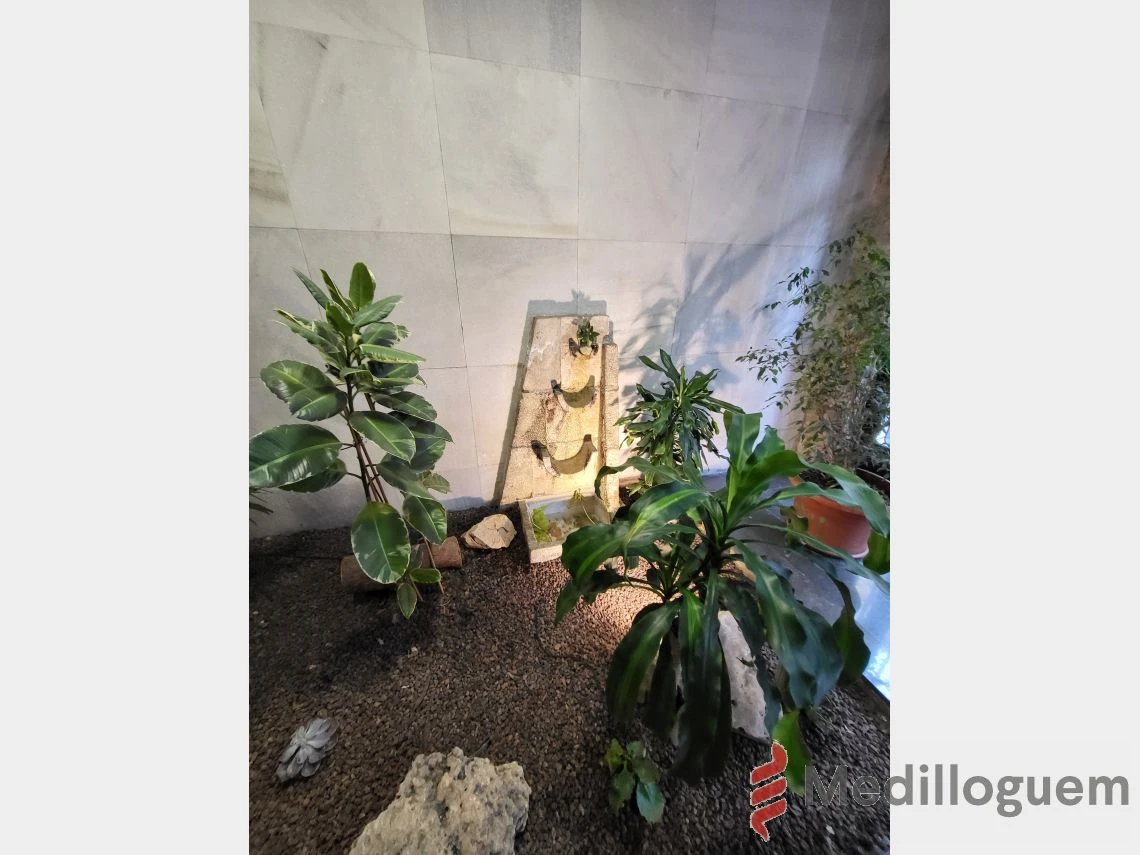 29 detalle hall arago